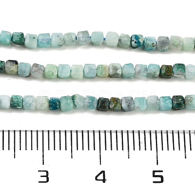 Natural Chrysocolla Beads Strands G-H042-B29-01-1