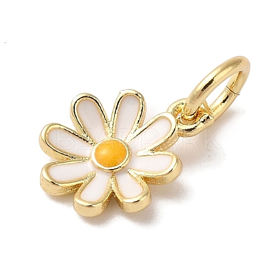Brass Enamel Charms KK-L216-006G-01-1