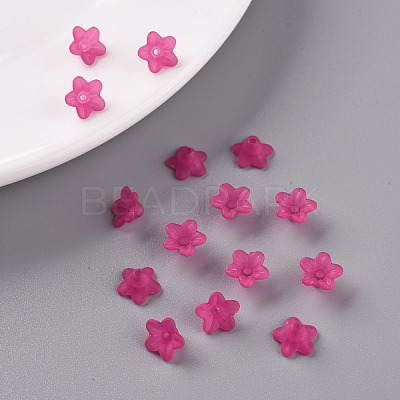 Transparent Acrylic Beads PL554-04-1