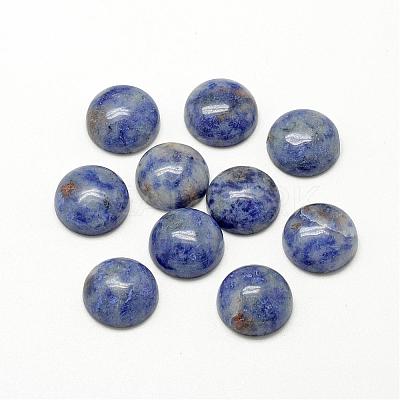 Natural Blue Spot Jasper Cabochons G-R416-20mm-45-1