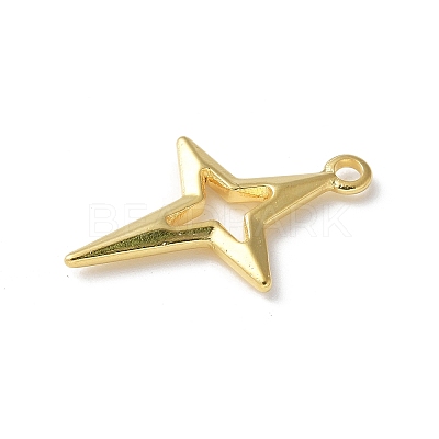 304 Stainless Steel Pendants STAS-I330-013G-1