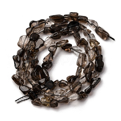 Natural Smoky Quartz Beads Strands G-I389-A31-01B-1
