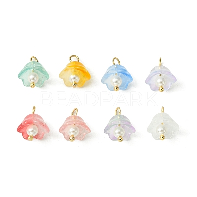 Transparent Spray Painted Glass Charms PALLOY-TA00091-1