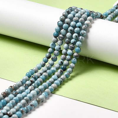Natural Gemstone Beads Strands G-F730-02A-1
