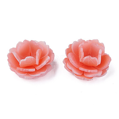Plastic Beads LS-KY-N015-197A-1