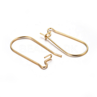 304 Stainless Steel Hoop Earring Findings STAS-P223-01G-02-1