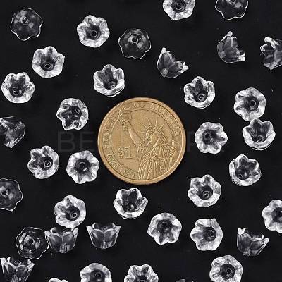 Transparent Clear Acrylic Beads PL548-1-1