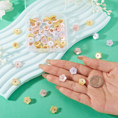 60Pcs 3 Colors 1-Hole Resin Buttons RESI-TA0004-42-1