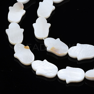 Natural Freshwater Shell Beads Strands SHEL-S278-02-A01-1