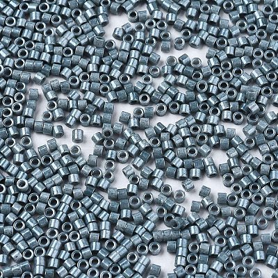 FGB 11/0 Grade A Baking Paint Glass Seed Beads X-SEED-S030-1040-1