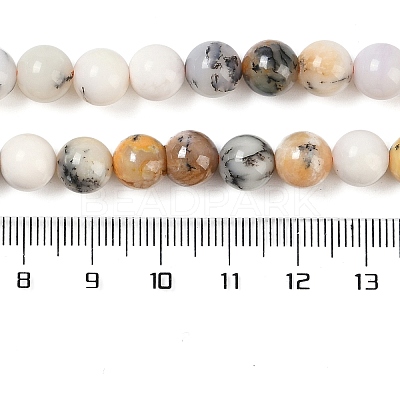 Natural White African Opal Beads Strands G-E472-02-8mmC-1