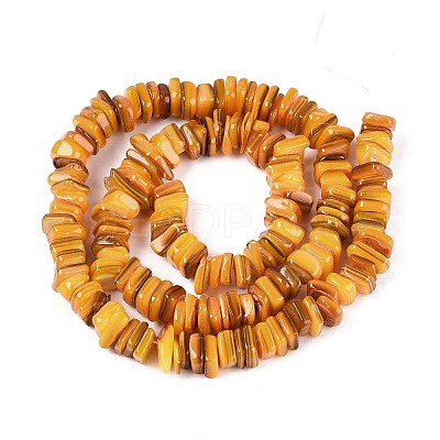 Natural Freshwater Shell Beads Strands SHEL-N037-01A-1