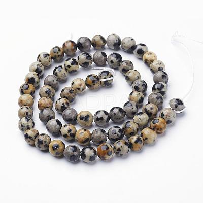 Natural Dalmatian Jasper Beads Strands X-GSR6mmC004-1