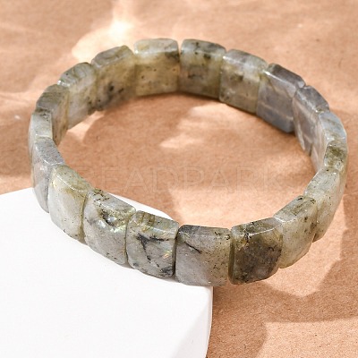 Natural Labradorite Faceted Beaded Stretch Bracelets for Women BJEW-K251-08A-1