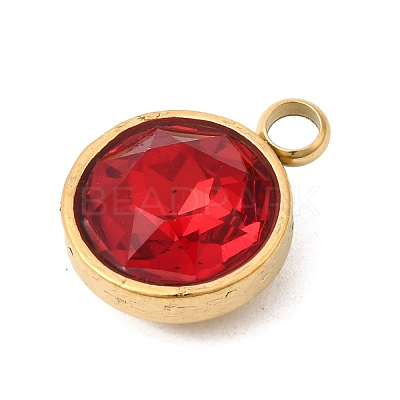 Birthstone Theme January 304 Stainless Steel Pendants STAS-K239-01G-A01-1