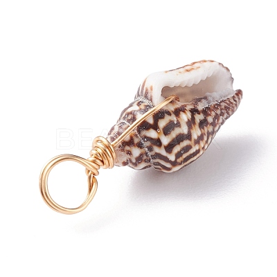 Natural Shell Pendants PALLOY-JF01164-02-1