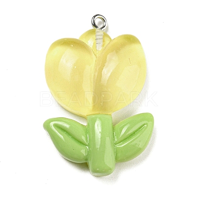Translucent Resin Pendants LS-RESI-G078-01E-1