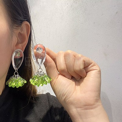 Alloy Resin Stud Dangle Earrings WGC5587-01-1