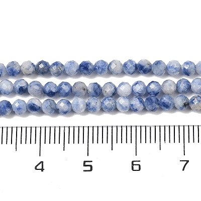 Natural Blue Spot Jasper Beads Strands G-A252-A02-02-1