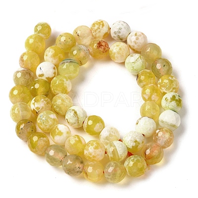 Dyed & Heated Natural Fire Crackle Agate Beads Strands G-P539-B01-06-1
