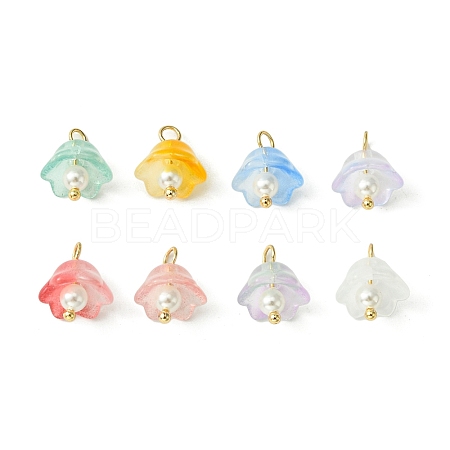 Transparent Spray Painted Glass Charms PALLOY-TA00091-1