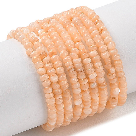 Natural Freshwater Shell Beads Strands SHEL-P017-01A-12-1