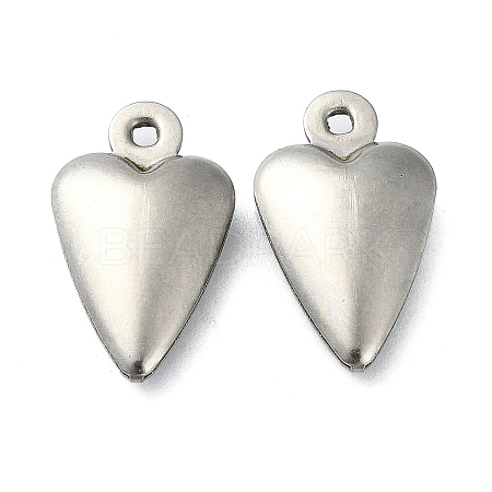 Non-Tarnish 304 Stainless Steel Pendants STAS-L024-009P-1