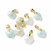Natural Amazonite Pendants G-C023-07F-1