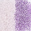 Glass Seed Beads SEED-T007-10C-1