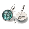 Tortoise Glass Leverback Earrings with Brass Earring Pins EJEW-Q798-01A-2