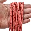 Dyed Synthetic Turquoise Beads Strands G-Z089-A04-P-1