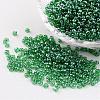 Round 8/0 Glass Seed Beads X-SEED-A006-3mm-107B-1
