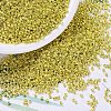 MIYUKI Delica Beads SEED-J020-DB0412-1