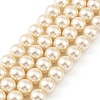 Preciosa® MAXIMA Crystal Nacre Pearls X-PRC-NPA10-77500-2