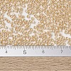 MIYUKI Delica Beads SEED-X0054-DB1561-4