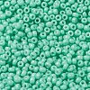 MIYUKI Round Rocailles Beads X-SEED-G008-RR4472-3