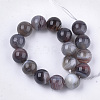 Natural Botswana Agate Beads Strands G-S333-12mm-026-2