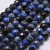 Faceted Natural Fire Crackle Agate Beads Strands X-G-F447-4mm-A19-1