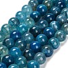 Dyed Natural Agate Beads Strands G-G203-10I-12mm-2