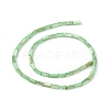 Natural Freshwater Shell Dyed Beads Strands SHEL-M018-11-10-2