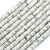 Frosted Natural Howlite Beads Strands G-K389-C17-01-1