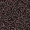 TOHO 8/0 Round Beads X-SEED-TR08-0026C-2