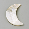 Freshwater Shell Pendants BSHE-S620-04-2