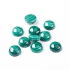 Natural Malachite Cabochons X-G-E557-06D-2