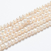 Natural Cultured Freshwater Pearl Beads Strands X-PEAR-L001-F-08-5