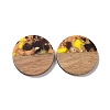 Transparent Resin & Walnut Wood Pendants RESI-N025-045-2