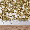 MIYUKI Delica Beads X-SEED-J020-DB1738-4