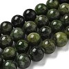 Natural Green Diopside Beads Strands G-K382-B01-03-1