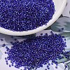MIYUKI Delica Beads SEED-X0054-DB0047-1