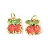 Brass Resin Charms KK-C110-24D-G-1